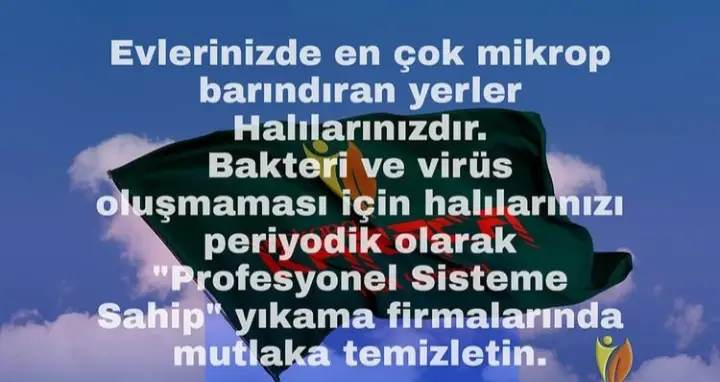 Profesyonel Halı Yıkama Hizmeti